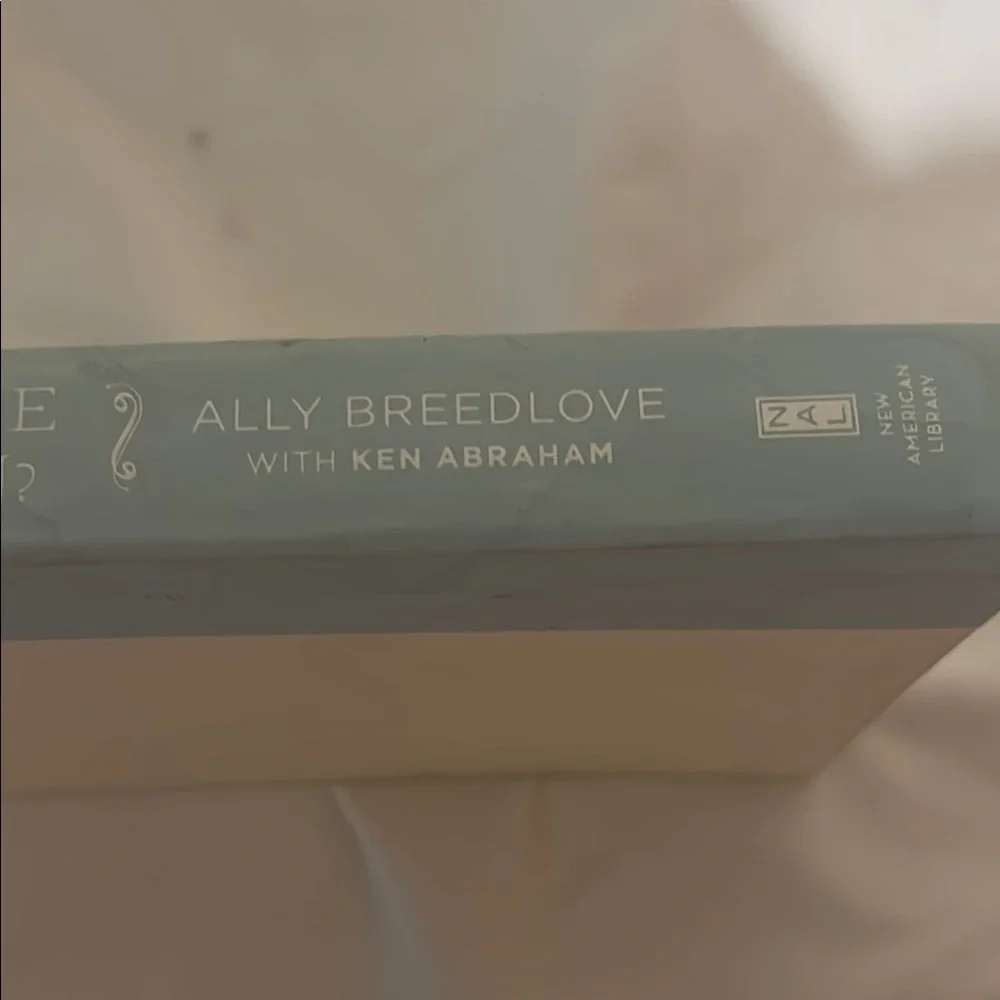 'When Will the Heaven Begin?' Decorative Book - Picture 5 of 5